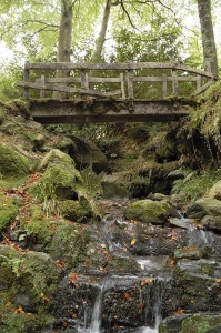 Старый мост в Толлиморе